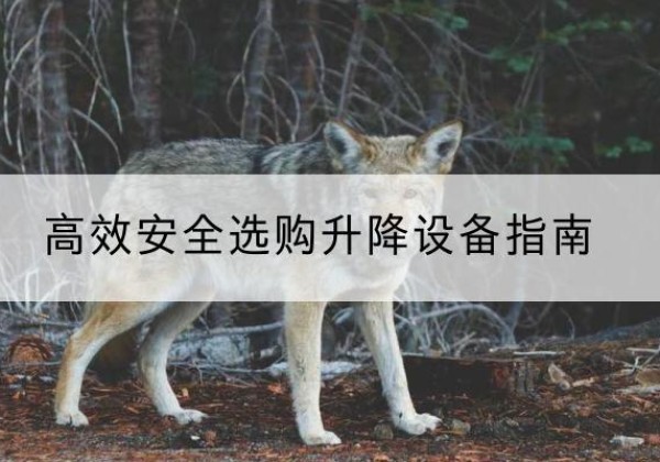 谷城升降货梯厂家推荐-*安全选购升降设备指南