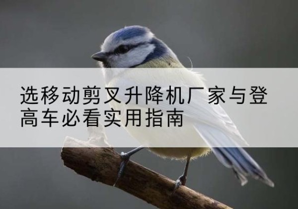谷城电动升降机厂家-选移动剪叉升降机厂家与登高车必看实用指南